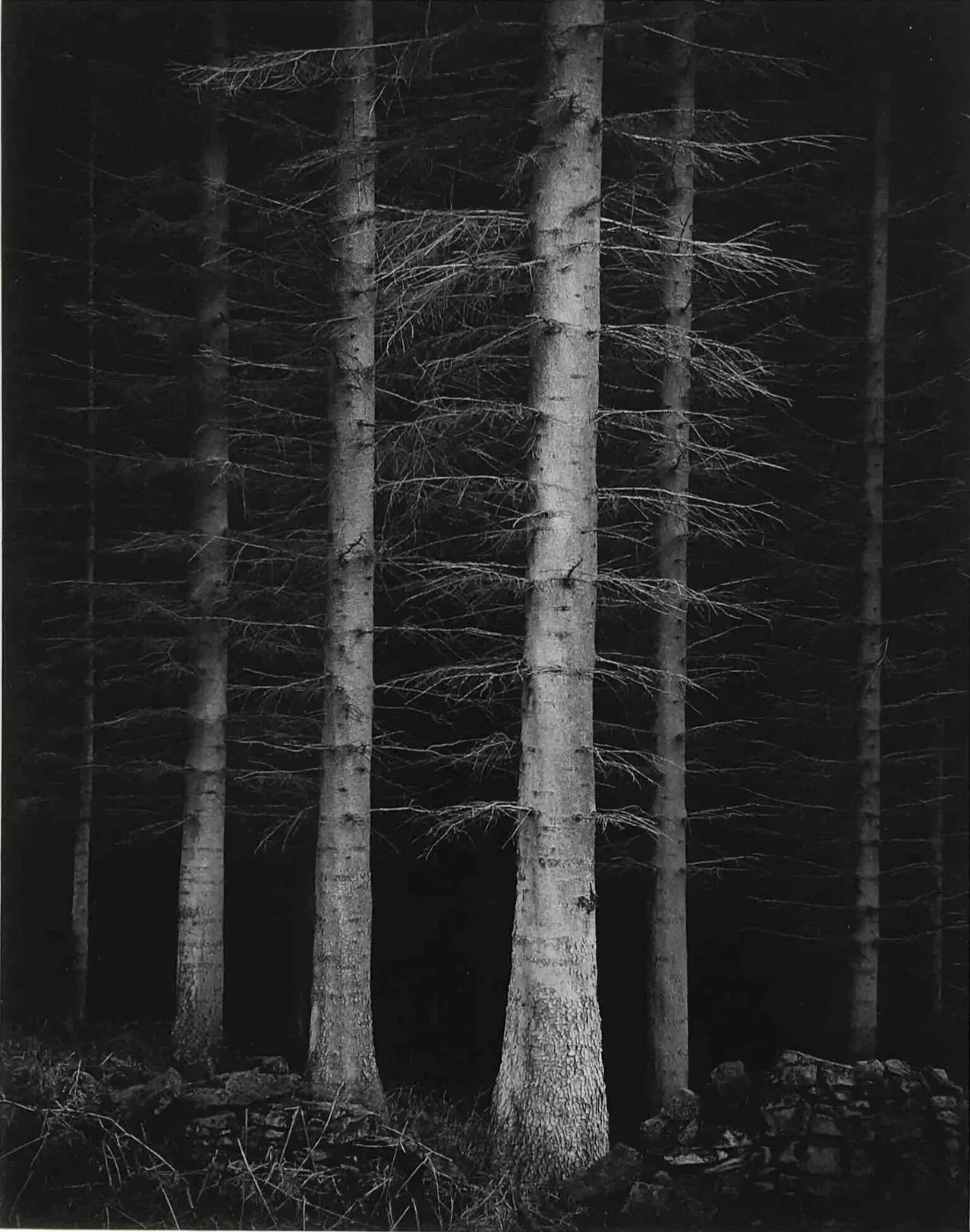 Paul Hart Photography | British Landscape Photographer